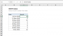 Excel MONTH function